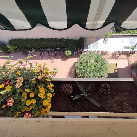 Intero - A 50 M Dal Mare Daire